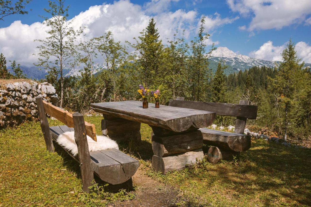 Chalet Orlica Velika Planina Stahovica Exterior photo